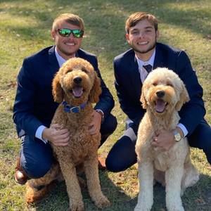 Meet your Posher, Alex